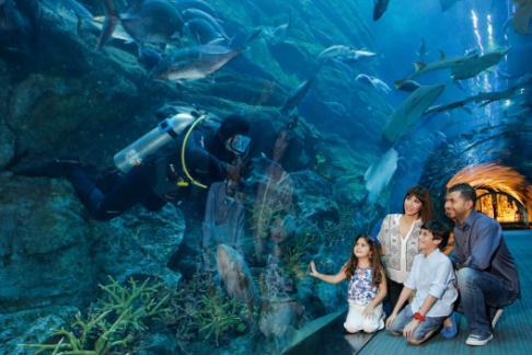 Dubai Aquarium & Underwater Zoo - Researcher Package