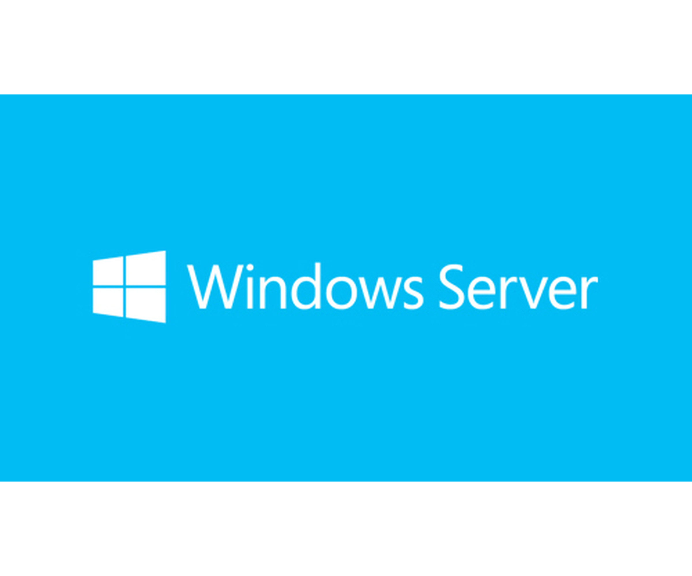 Microsoft Windows Server 2019 - Lizenz - 5 Benutzer-CALs