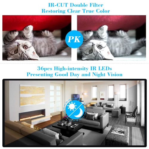 IPCC IP Camera 1/2.5