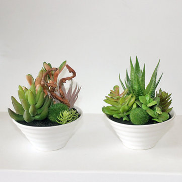 Mini White Pots Simulation Plant Aloe Vera Immortal Finger Potted Plants