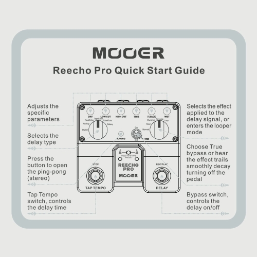 MOOER Reecho Pro Digital Delay Guitar Effect Pedal Twin Footswitch with 6 Delay Effects Loop Recording (20 Seconds) Function
