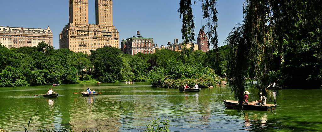 Central Park Sightseeing Rowboats