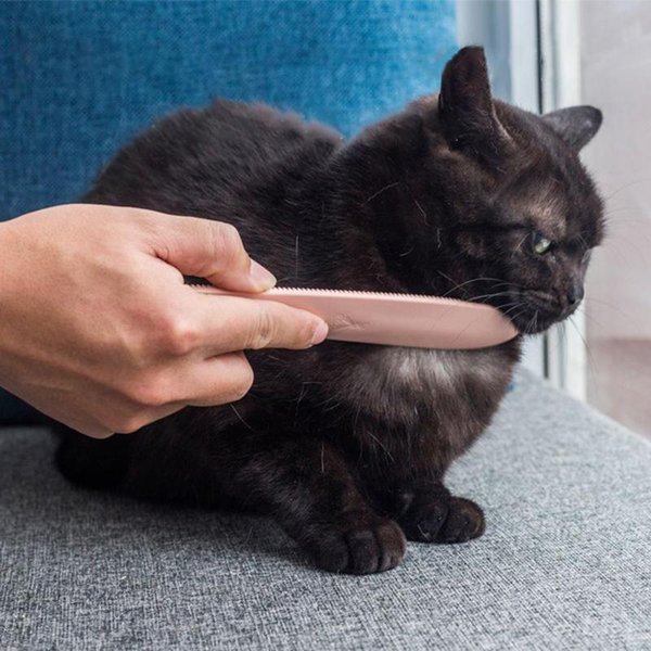 Cat Toys Portable Pet Hair Removal Comb Durable Simulation Tongue Massage Kitten Daily Care Grooming Accessories