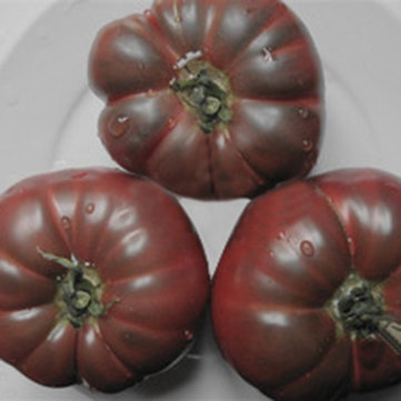 100pcs Black Goose Liver Tomato Seeds