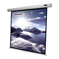 Celexon Economy Manual Screen - Leinwand - 311 cm (122