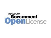 Microsoft Dynamics 365 for Customer Service, Enterprise Edition Add-on - Abonnement-Lizenz (1 Jahr)