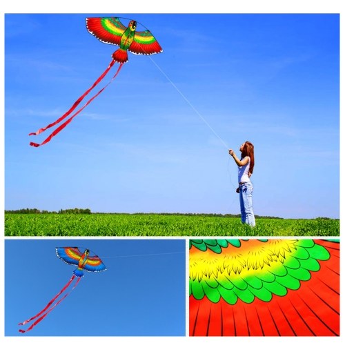 Colorful Cartoon Parrot Kite Outdoor Sport Single Line Flying Kite with Tail 50m Flying Line for Kids Adults