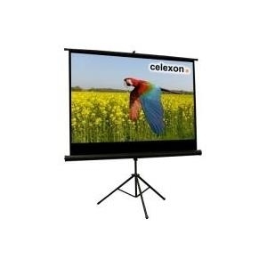 Celexon Economy tripod screen - Projektionsbildschirm mit Stativ - 153 cm (60