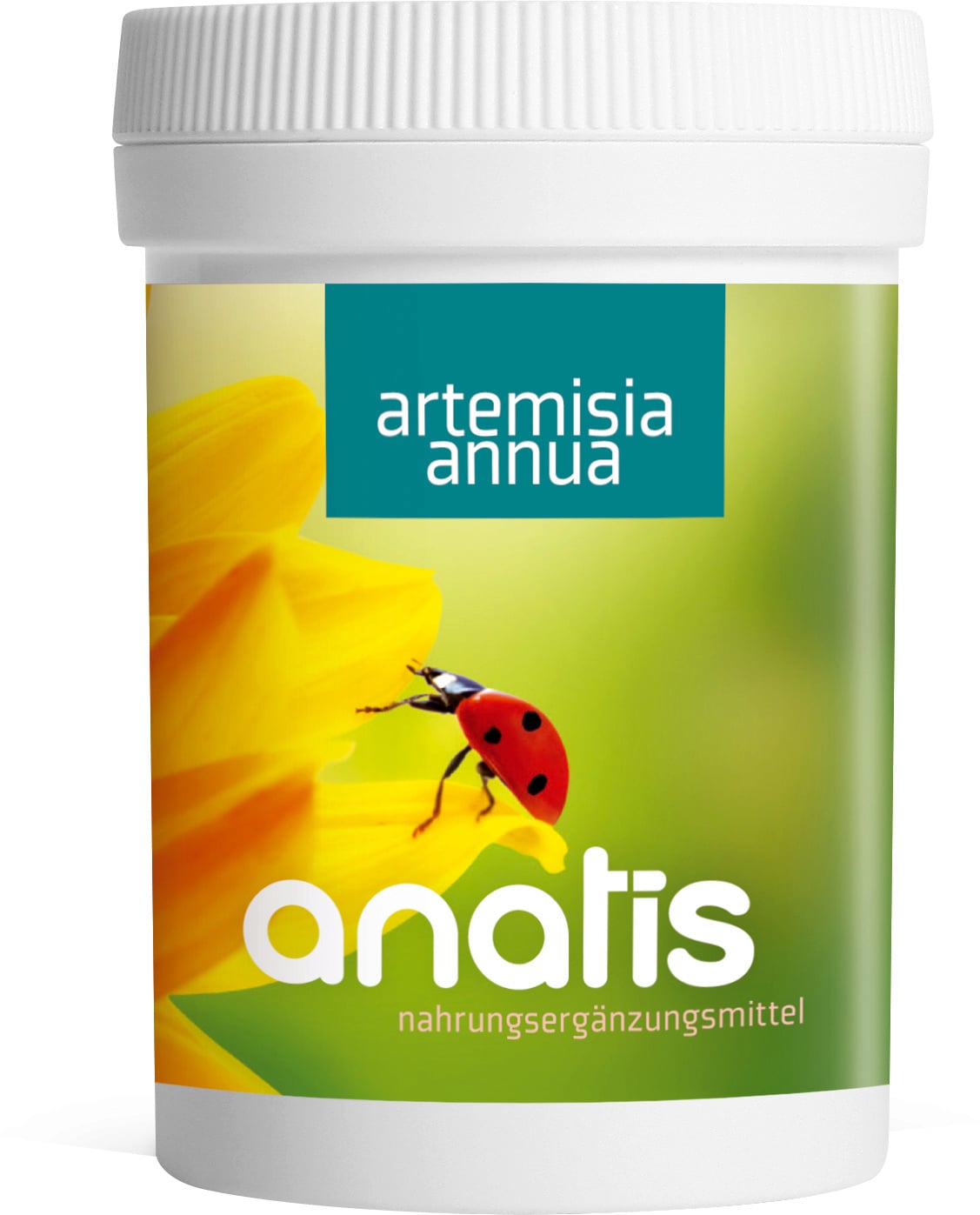 anatis Naturprodukte Artemisia annua