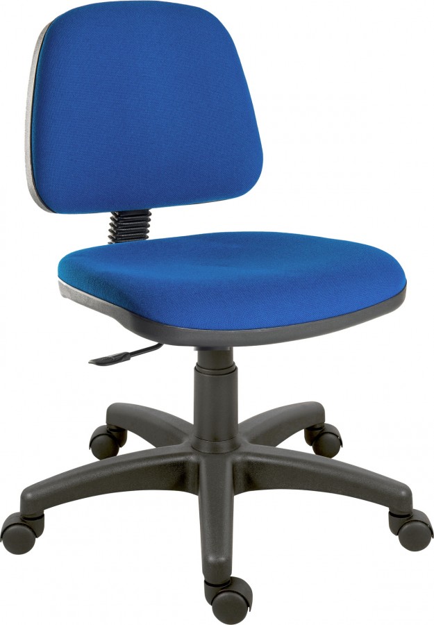 Lower Backed Computer Chair