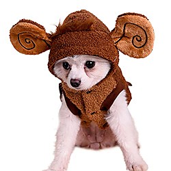 costumes de chien veste pour animaux de compagnie singe habillage confortable chat à capuchon chien gilet d'hiver manteau chiot costume - café m Lightinthebox