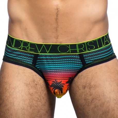 Andrew Christian California Sunset Mesh Brief L