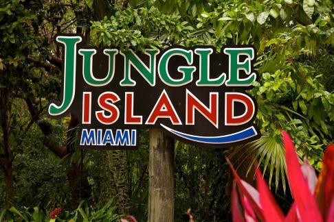 Jungle Island - Superflight