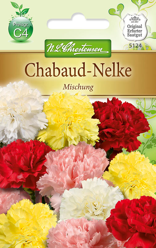 Dianthus caryophyllus Chabaud-Nelke Mg