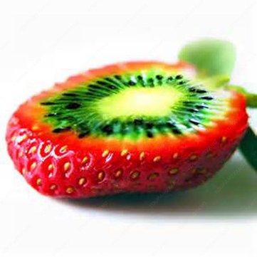 100pcs Rare Strawberry Kiwi Seeds