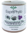 Harpagophytum bio 90 Esprit phyto