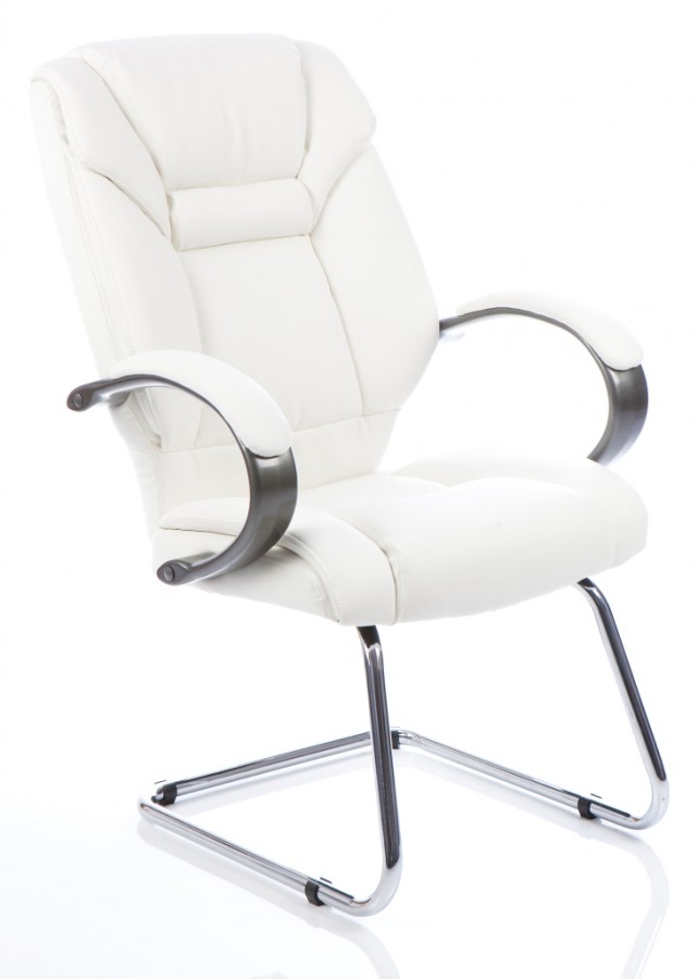 Galloway Leather Cantilever Visitors Chair