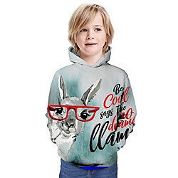 Kids Boys' Hoodie  Sweatshirt Long Sleeve 3D Print Animal Print Light Blue Children Tops Summer Active Daily Wear Regular Fit 3-13 Years miniinthebox