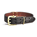 Universal Genuine Leather Suit Pet Leash de épaissie et collier avec boucle en métal pour chiens (ML)
