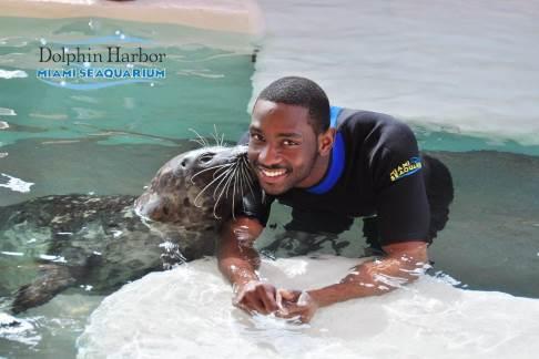 Miami Seaquarium - Dolphin Encounter