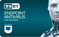 ESET Endpoint Antivirus for Windows (EAVB-R3G-STD)