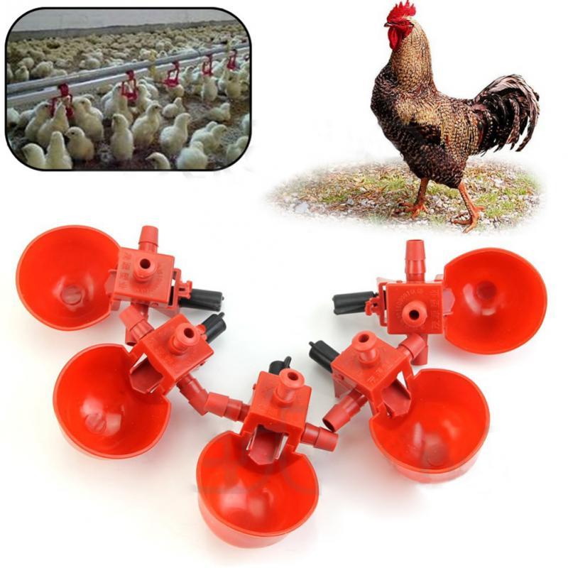 5Pcs/Set Chicken Fowl Drinker Bird Coop Feed Automatic Poultry Water Drinking Cups