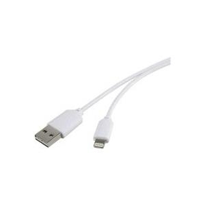 Renkforce Apple Lightning Anschlusskabel für iPod/iPad/iPhone mit beidseitig verwendbaren USB-A-Stecker 1 m Weiß