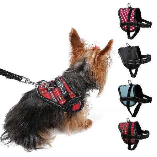 Adjustable Soft Breathable Mesh Small Dog Pet Harness and Dog Leash Set Puppy Vest Chest Strap