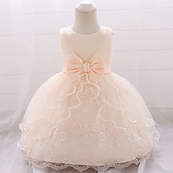 Baby Girls' Active Streetwear Jacquard Solid Colored Flower Layered Mesh Tulle Bow Sleeveless Above Knee Dress White Blue Purple Lightinthebox