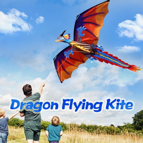 140cm x 120cm / 55 x 47 pulgadas Dragon Kite Single Line Flying Kite con cola 100m Flying Line para niños Adultos