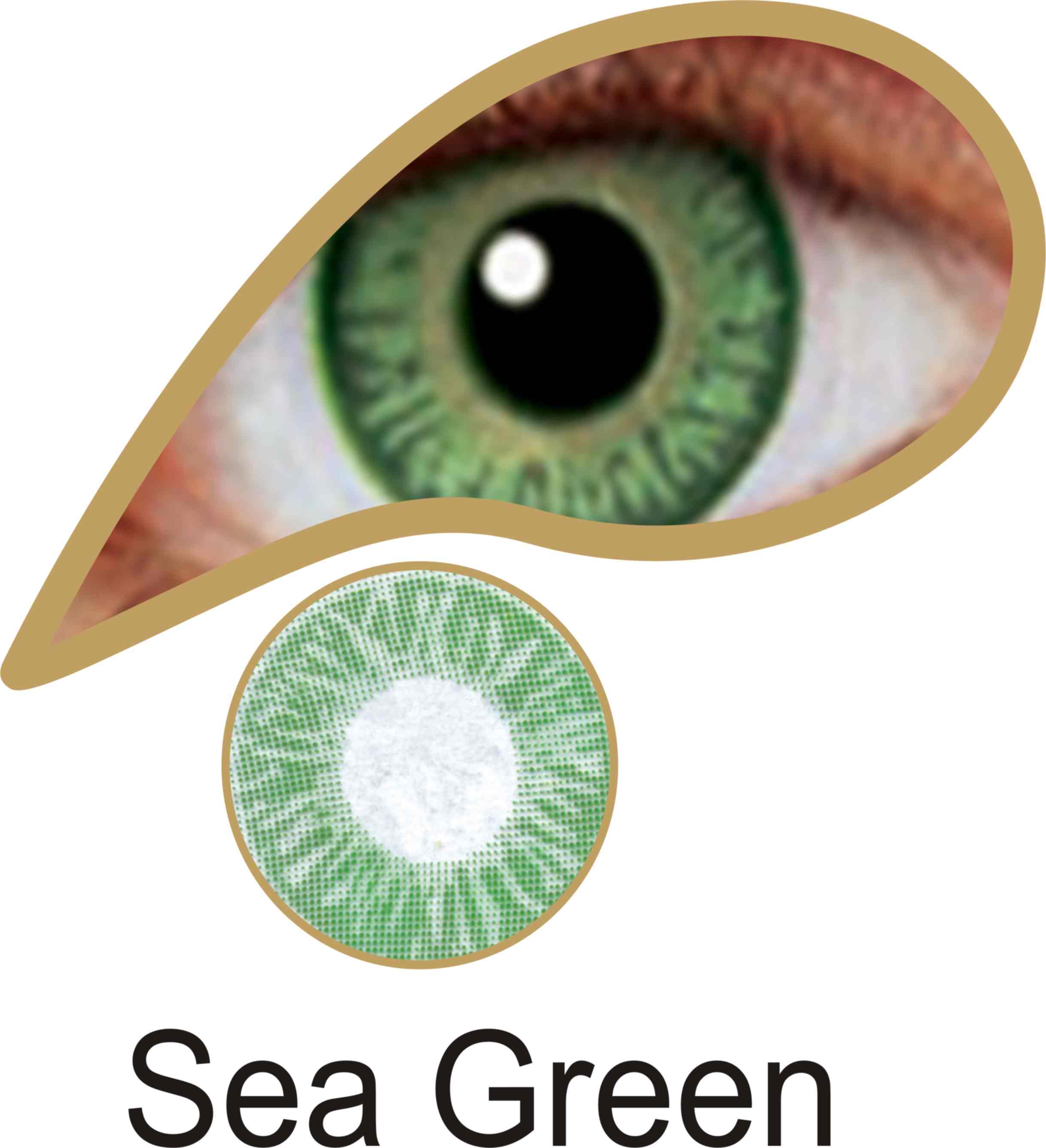 MesmerEyez Naturalz 1 Day Sea Green Contact Lenses