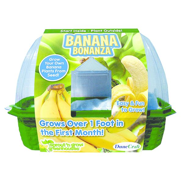 Grow Your Own Banana Bonanza