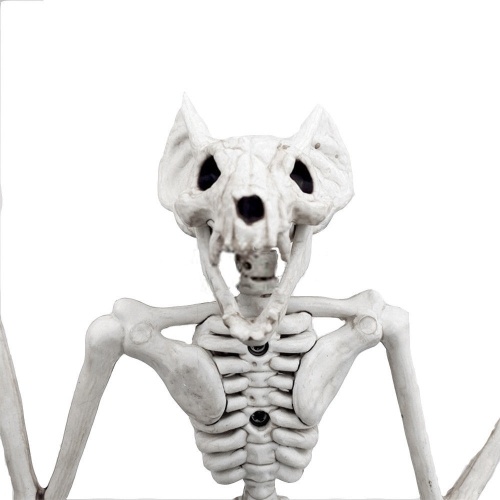 Os de chauve-souris suspendu squelette de halloween