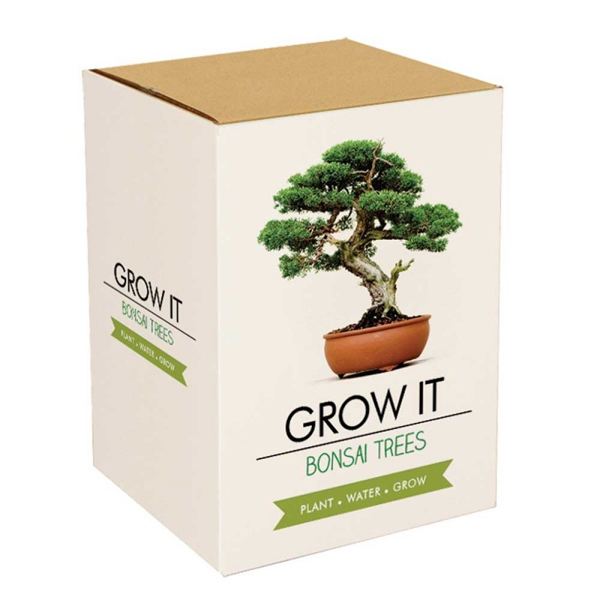 Grow Your Own Bonsai Tree