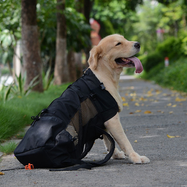 legs out front dog carrier hands pet backpack carrier wide straps shoulder pads 669