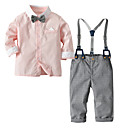 bebê Para Meninos Casual / Activo Diário / Feriado Sólido / Estampa Colorida Estampado Manga Longa Padrão Padrão Algodão / Poliéster Conjunto Rosa / Bébé