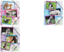 PAGNA Eckspannermappe Hunde, A3, aus PP für Dokumente in Format A3, aus langlebigem PP, - 1 Stück (21672-15)